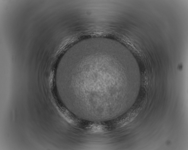 X0000095940742200801181400