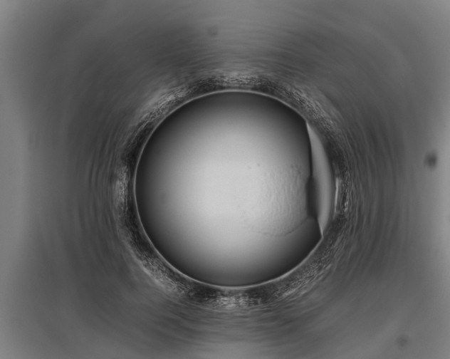 X0000095940744200801181400