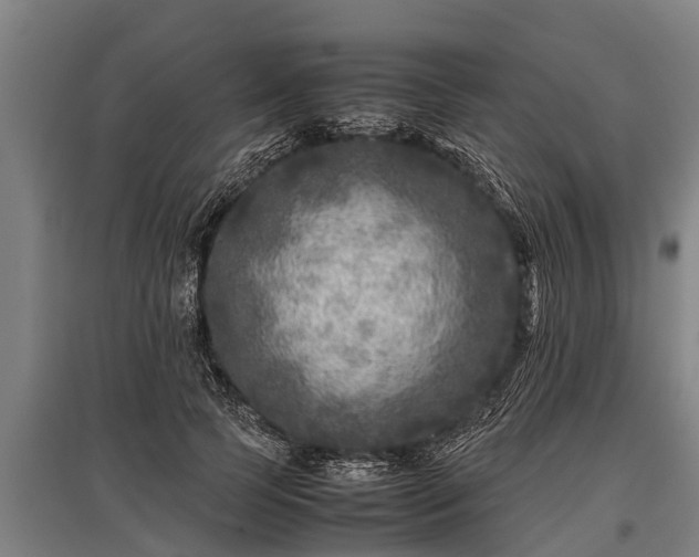 X0000095940745200801181400