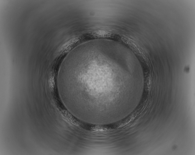 X0000095940746200801181400