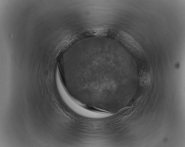 X0000095940748200801181400