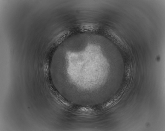 X0000095940749200801181400