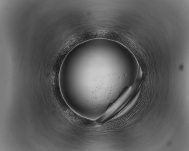 X0000095940750200801181400