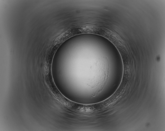 X0000095940751200801181400