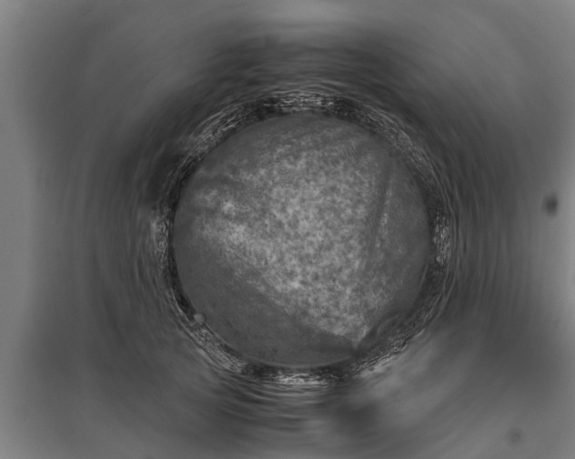 X0000095940753200801181400