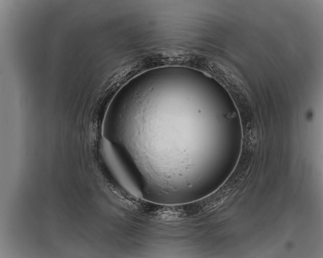 X0000095940756200801181400
