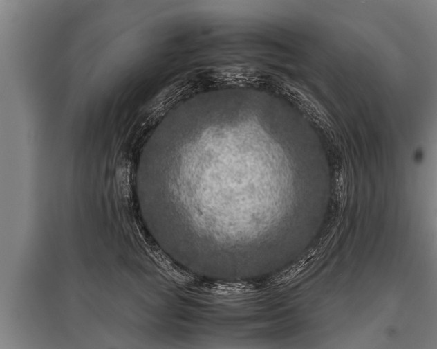 X0000095940757200801181400