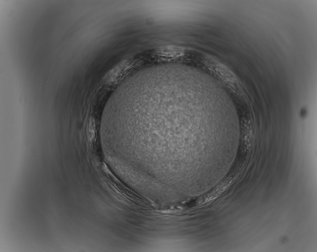 X0000095940758200801181400