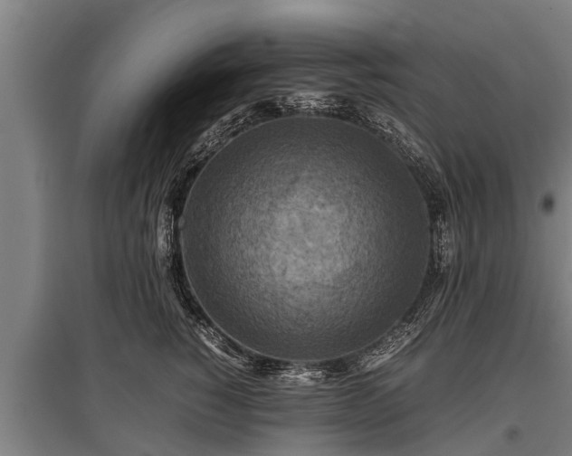X0000095940760200801181400