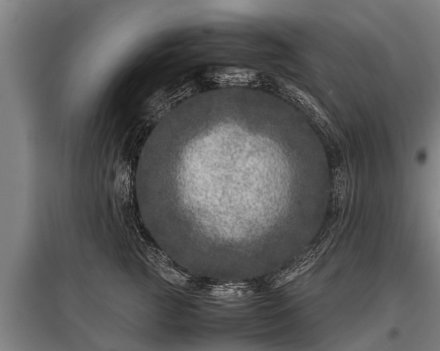 X0000095940761200801181400