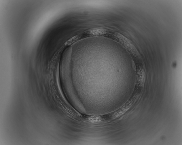 X0000095940762200801181400