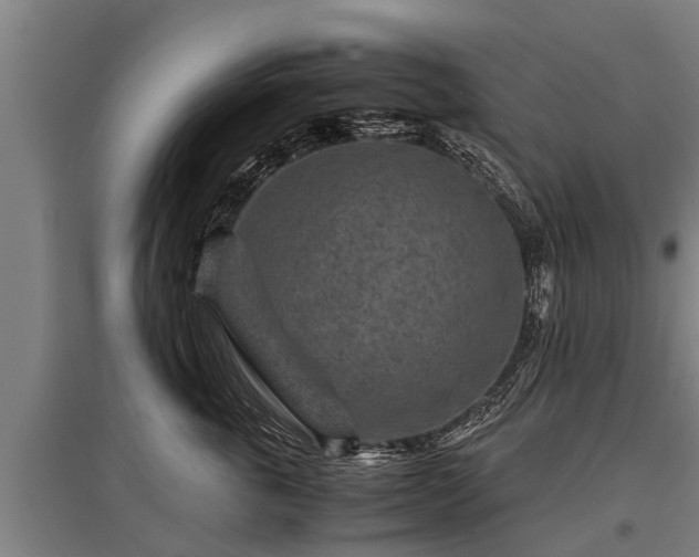 X0000095940763200801181400