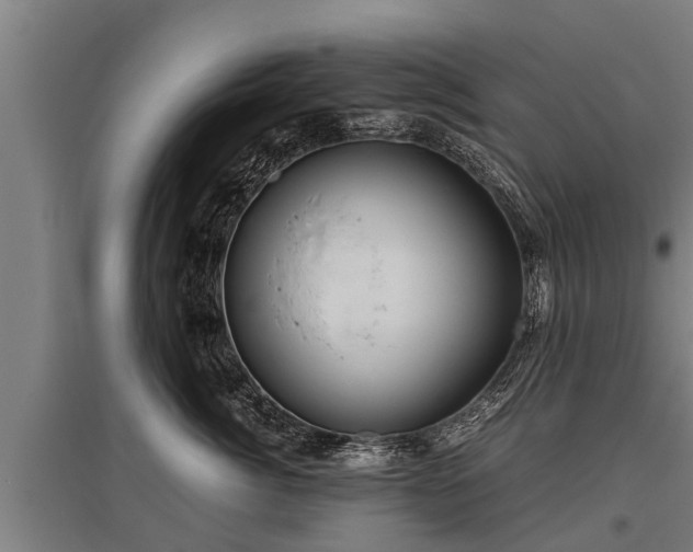 X0000095940764200801181400