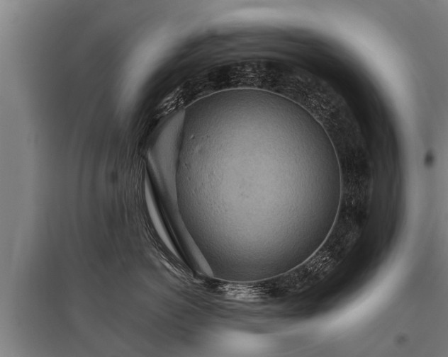X0000095940766200801181400