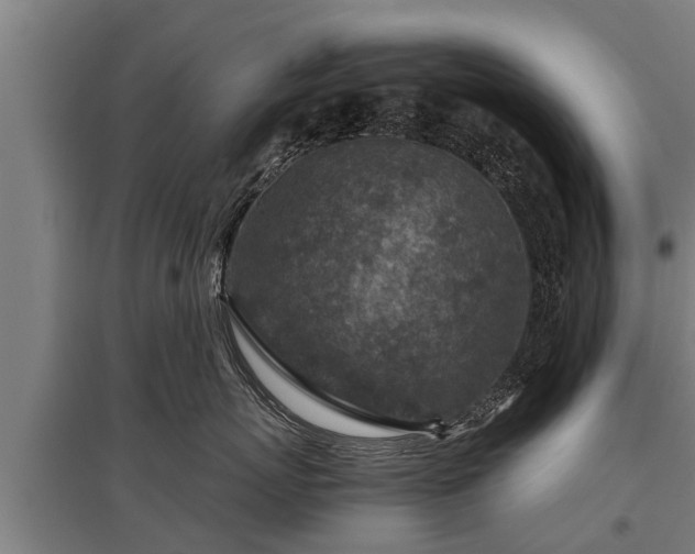 X0000095940767200801181400