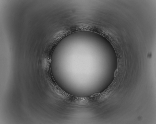 X0000095940768200801181400