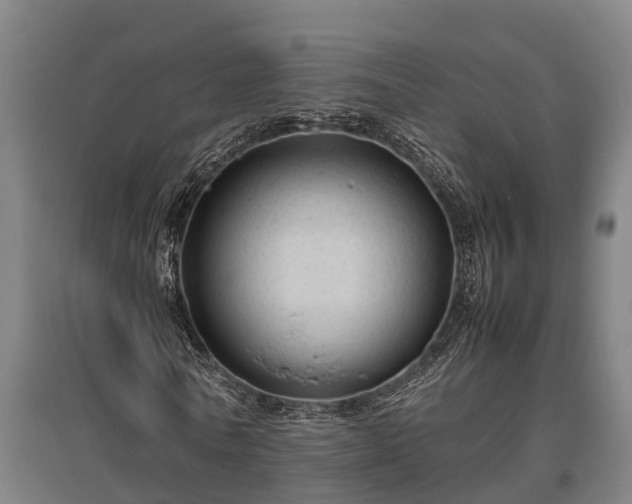 X0000095940770200801181400
