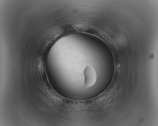 X0000095940772200801181400