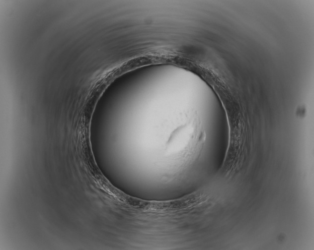 X0000095940773200801181400