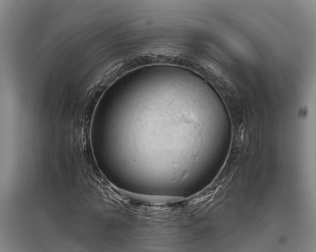 X0000095940774200801181400