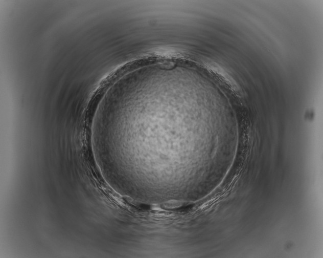 X0000095940776200801181400