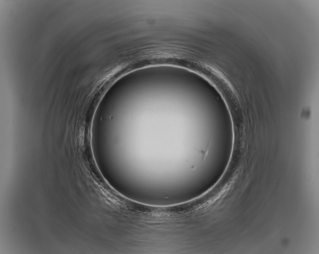 X0000095940777200801181400