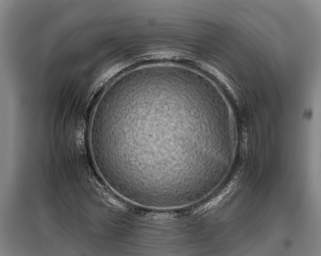 X0000095940778200801181400