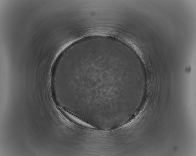 X0000095940779200801181400