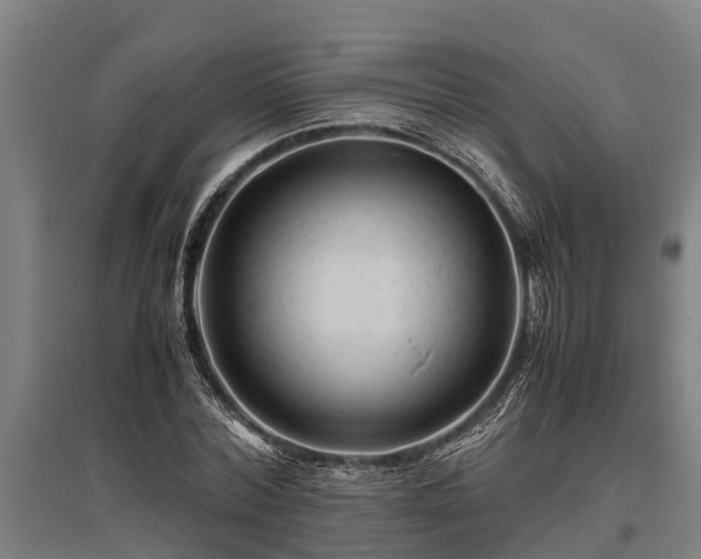 X0000095940780200801181400