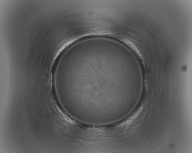 X0000095940781200801181359