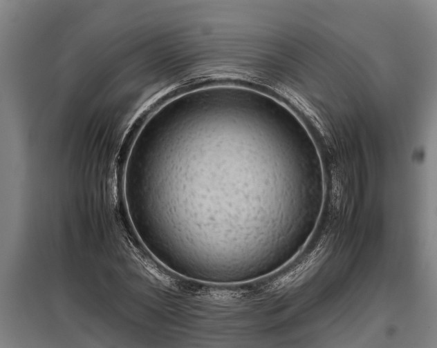 X0000095940782200801181359