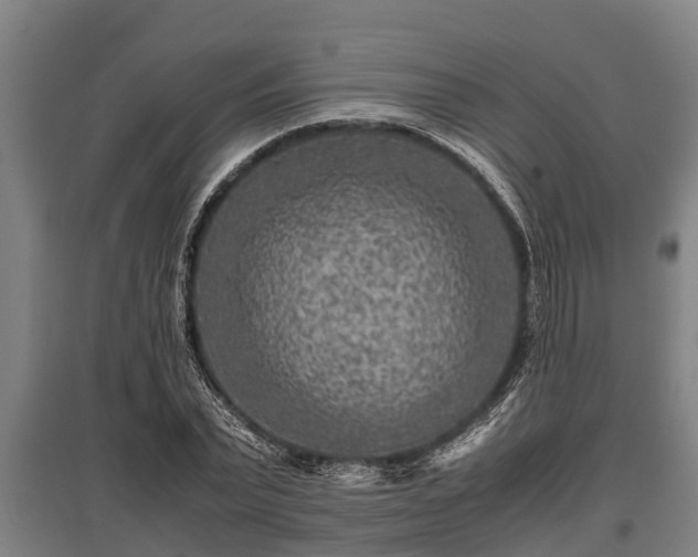 X0000095940783200801181359