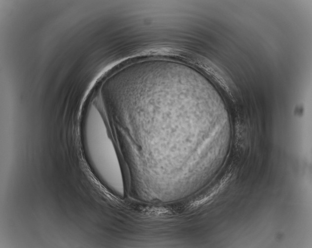 X0000095940784200801181359