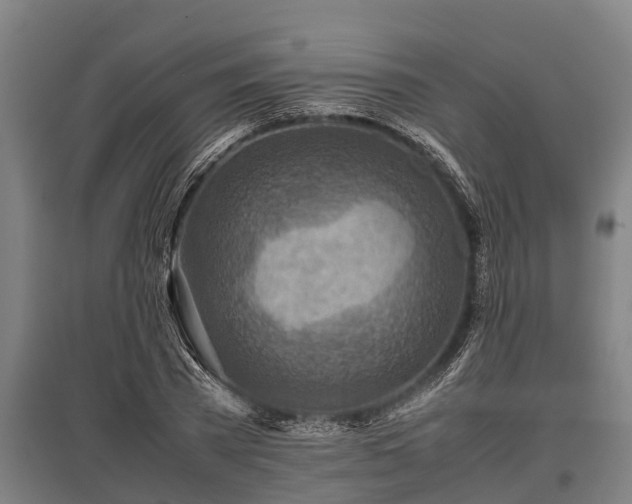 X0000095940785200801181359