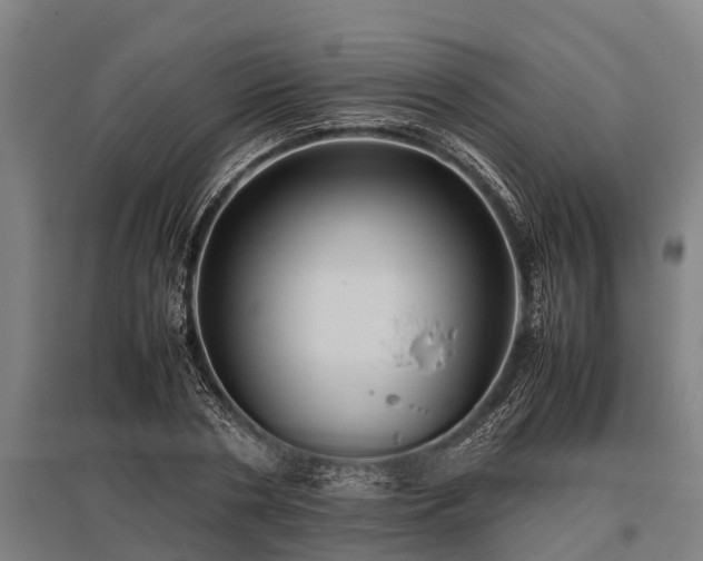 X0000095940786200801181359
