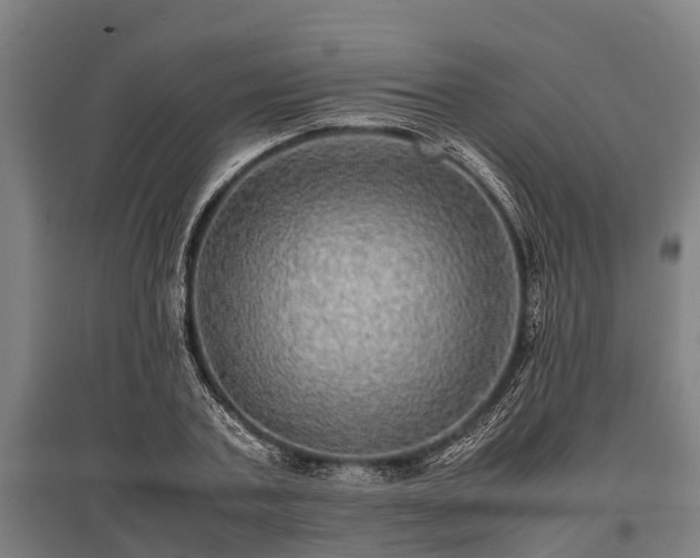 X0000095940787200801181359