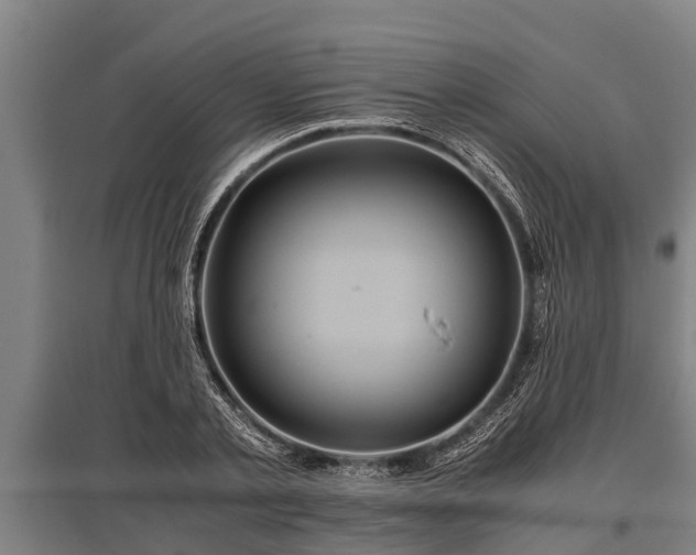 X0000095940789200801181359