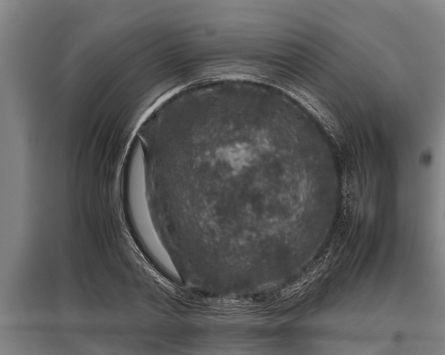 X0000095940790200801181359