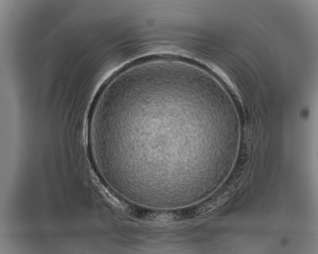X0000095940791200801181359