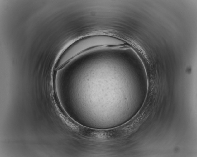 X0000095940792200801181359