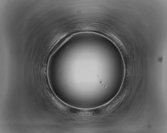 X0000095940793200801181359