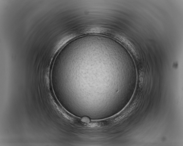 X0000095940794200801181359