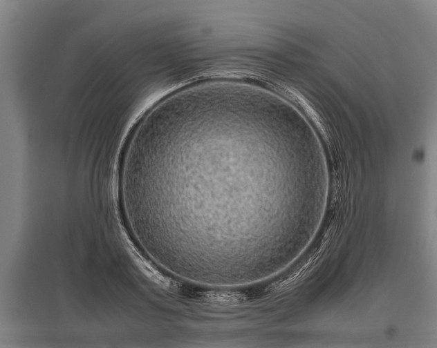 X0000095940795200801181359