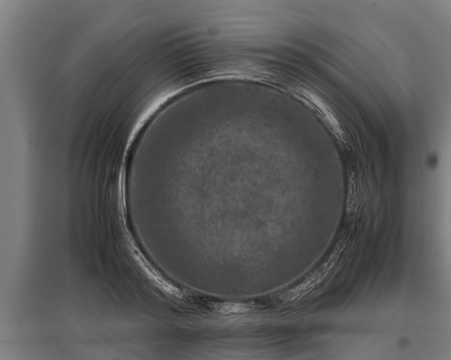 X0000095940796200801181359