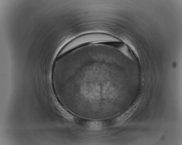 X0000095940797200801181359