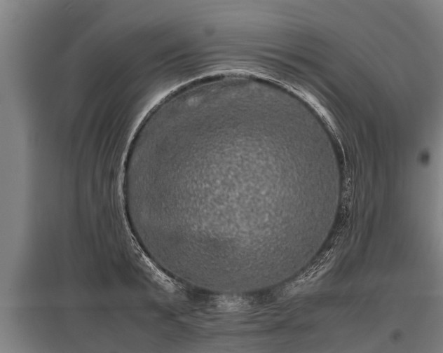 X0000095940799200801181359