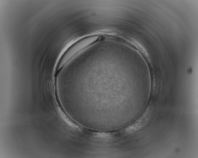 X0000095940800200801181359