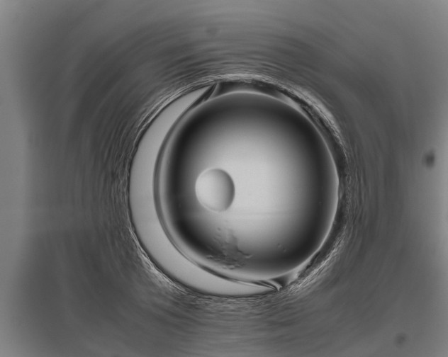 X0000095940801200801181359