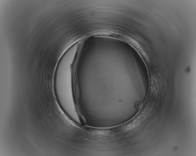 X0000095940802200801181359