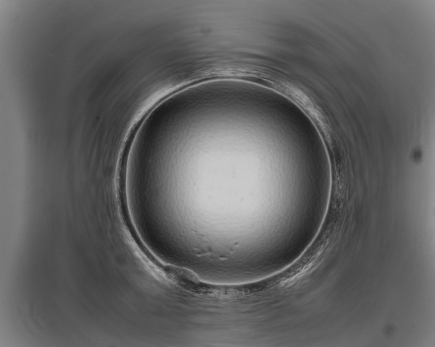 X0000095940803200801181359